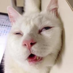 -_FapToBbIu
