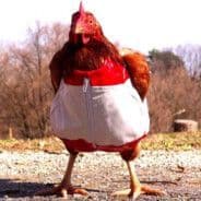 ChickenMochi