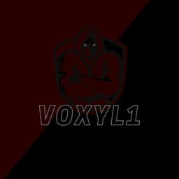VoxyL1