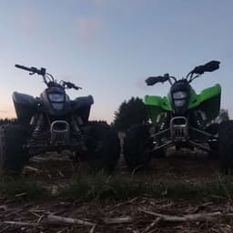 VipexDK