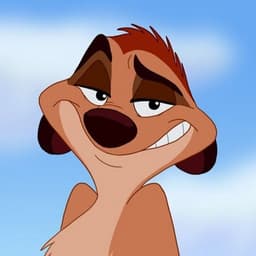 TIMON-TIMON