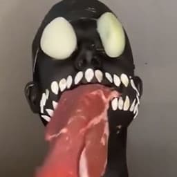 _gtg_Kot_