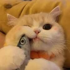 iuooooo