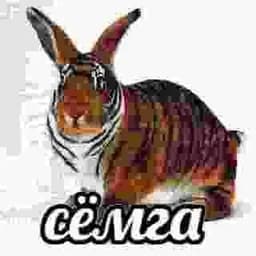 Ch1k0m4
