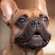 Angry_Danuta