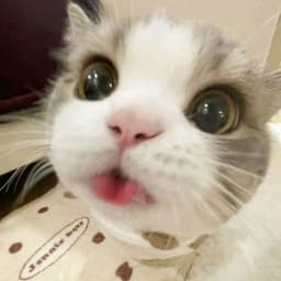 d3mms_