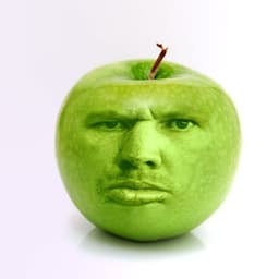 anlakich1