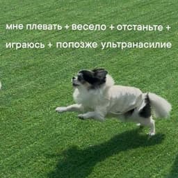 _vrooom
