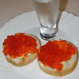 djohniDZOEV