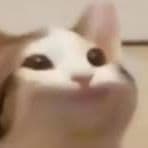 SLYHU
