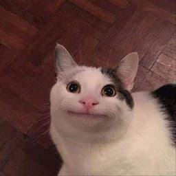 VUCSDTGF