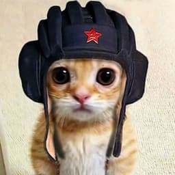 Sh0t1k3