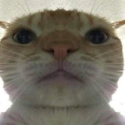 _doNtex_