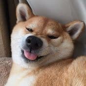 VaruXXD