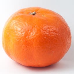 xSaNdYx