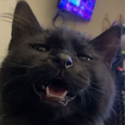 Blazxrs