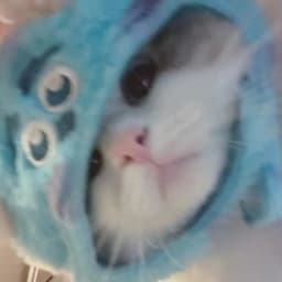 dsssml