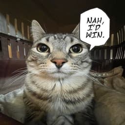 _MigSS_