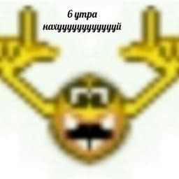 _HowlySh1t_