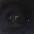NaRvIn_nya