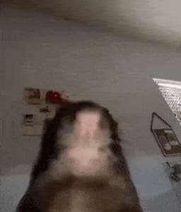 qtb