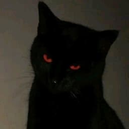 neffzera_