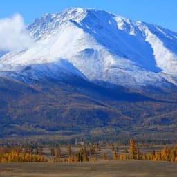 Netsov