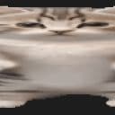 Iazer1337