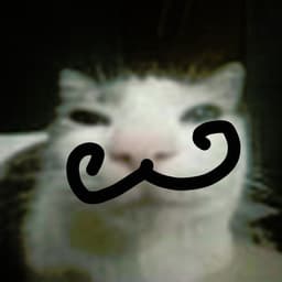 Diga2k