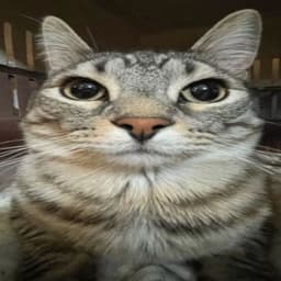 Ksmmm