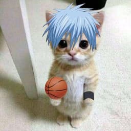 goman4ik-
