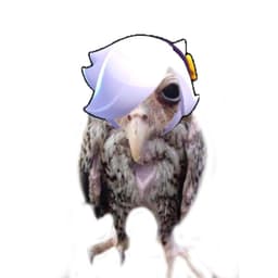 vpwerh