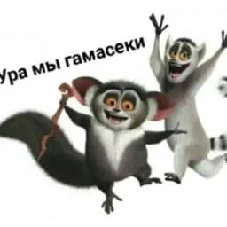 zzeroomn