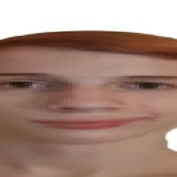 -P1kemon