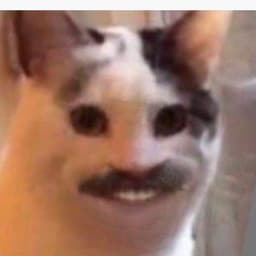 alkskot