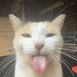 _Mati2137