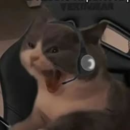I_SLESH_I