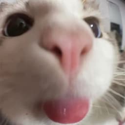 ksssss_02