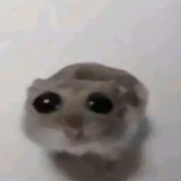 iCarik