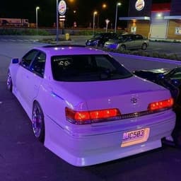 ds1nq
