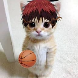 tazybtw