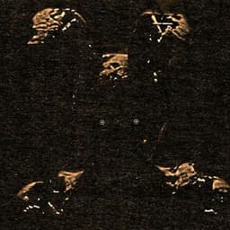 Tatsukichi14