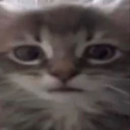 LiteML