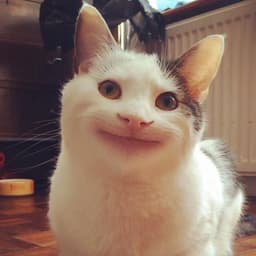 11371471