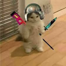 TheBraveFps