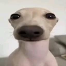danielggpro