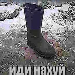 zxcqwwr