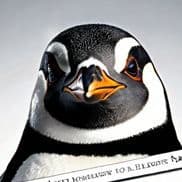 Datamus