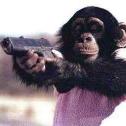 MonkeyLou