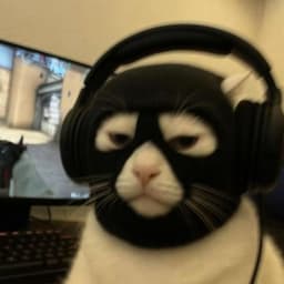 _waydee_